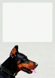 Briefpapier mit Hundemotiv - Briefpapier-mit-Hundemotiv-kostenlos-026.jpg