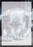 Briefpapier mit Hundemotiv - Briefpapier-mit-Hundemotiv-kostenlos-031.jpg