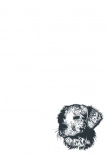 Briefpapier mit Hundemotiv - Briefpapier-mit-Hundemotiv-kostenlos-060.jpg