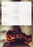 Briefpapier mit Hundemotiv - Briefpapier-mit-Hundemotiv-kostenlos-097.jpg
