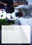 Briefpapier mit Hundemotiv - Briefpapier-mit-Hundemotiv-kostenlos-100.jpg