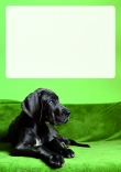 Briefpapier mit Hundemotiv - Briefpapier-mit-Hundemotiv-kostenlos-106.jpg
