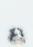 Briefpapier mit Hundemotiv - Briefpapier-mit-Hundemotiv-kostenlos-124.jpg