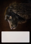 Briefpapier mit Hundemotiv - Briefpapier-mit-Hundemotiv-kostenlos-168.jpg