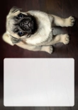 Briefpapier mit Hundemotiv - Briefpapier-mit-Hundemotiv-kostenlos-213.jpg