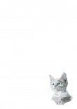 Briefpapier mit Katze - Briefpapier-Katze-kostenlos-019.jpg