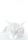Briefpapier mit Katze - Briefpapier-Katze-kostenlos-036.jpg
