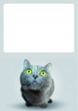 Briefpapier mit Katze - Briefpapier-Katze-kostenlos-041.jpg