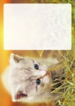 Briefpapier mit Katze - Briefpapier-Katze-kostenlos-133.jpg