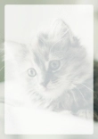 Briefpapier mit Katze - Briefpapier-Katze-kostenlos-288.jpg