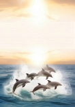 Briefpapier mit Delfin zum ausdrucken kostenlos - briefpapier-delfin-zum-ausdrucken-kostenlos-motiv-040.jpg