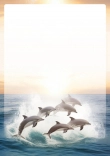 Briefpapier mit Delfin zum ausdrucken kostenlos - briefpapier-delfin-zum-ausdrucken-kostenlos-motiv-041.jpg