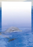 Briefpapier mit Delfin zum ausdrucken kostenlos - briefpapier-delfin-zum-ausdrucken-kostenlos-motiv-098.jpg