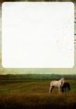 Selbst ausdrucken Pferde Briefpapier Vorlagen kostenlos - Briefpapier-mit-Pferden-kostenlos-zum-ausdrucken-072.jpg