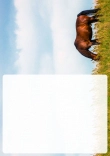 Selbst ausdrucken Pferde Briefpapier Vorlagen kostenlos - Briefpapier-mit-Pferden-kostenlos-zum-ausdrucken-132.jpg
