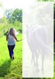 Schablonen kostenlos pferde zum ausdrucken Bügelperlen Vorlagen